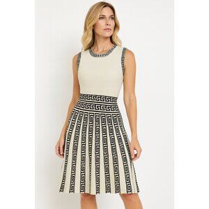 Women’s Slim Fit Sleeveless Pleated Dress – NWOT - L